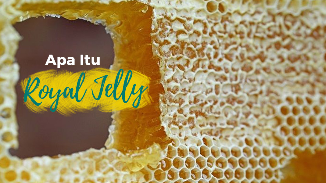 10 Manfaat Hebat Madu Royal Jelly Bagi Kesehatan Tubuh