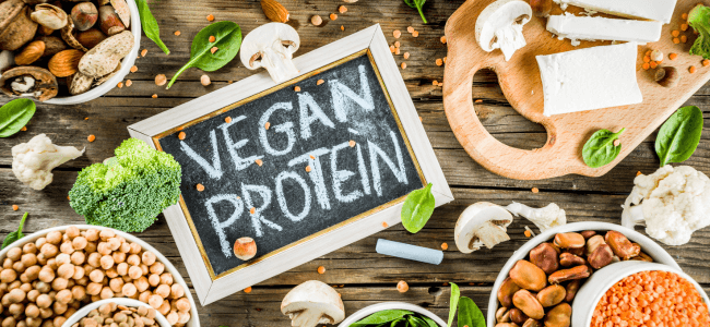 vegetarian protein
