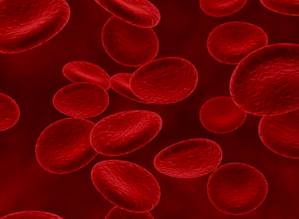 Apa Itu Hemoglobin dan Manfaat Pemeriksaan Kadar Hemoglobin