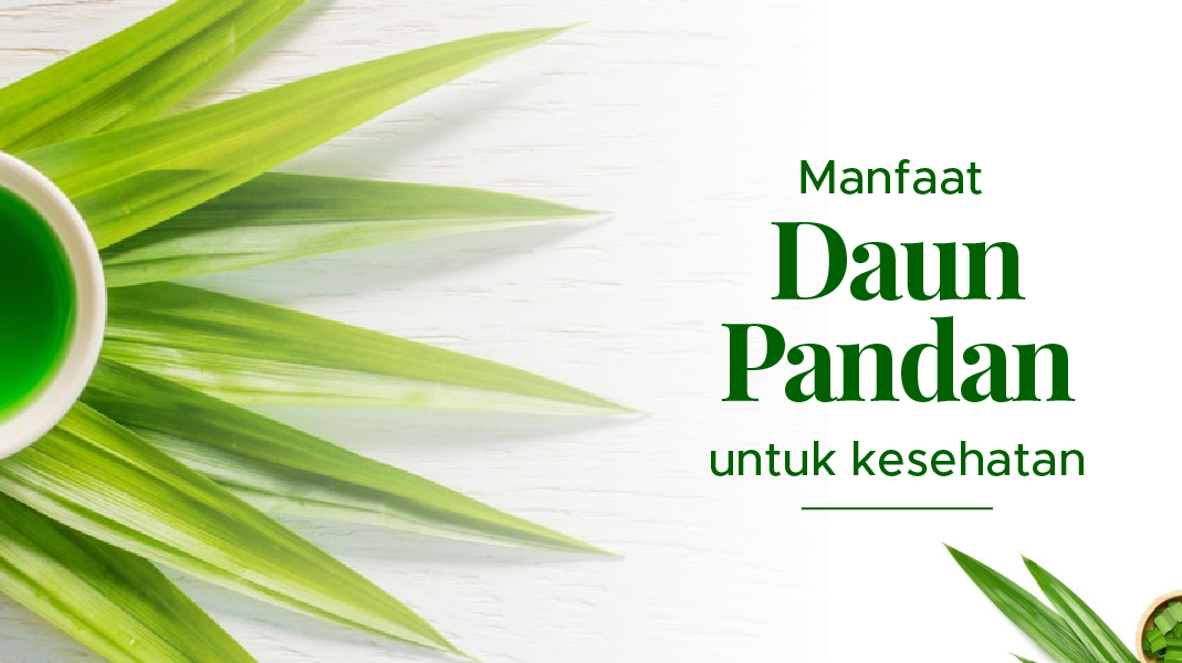 Inilah 4 Manfaat Daun Pandan untuk Kesehatan, Wajib Tahu