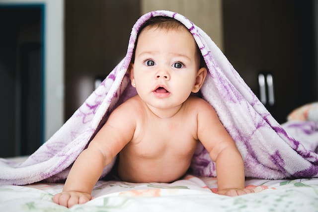 Panduan Pemberian Prosi MPASI untuk Bayi Berusia 6 Bulan