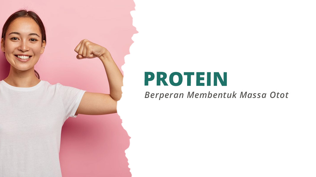 Peran Penting Protein dalam Pembentukan Otot
