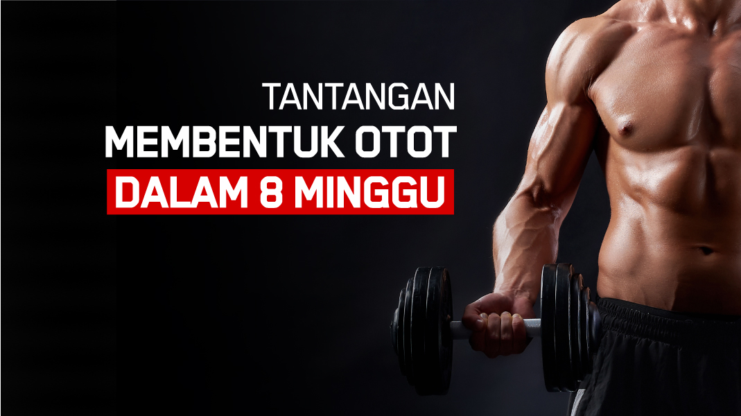 Tantangan 8 Minggu Menambah Massa Otot Ideal