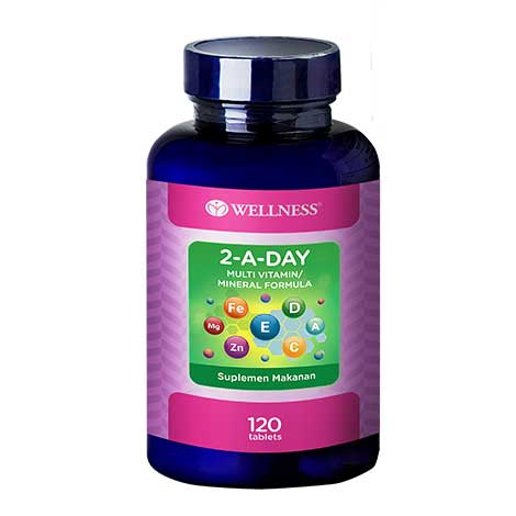 wellness-2-a-day-multivitamin-formula-120-tablets-75-1616658148.jpg