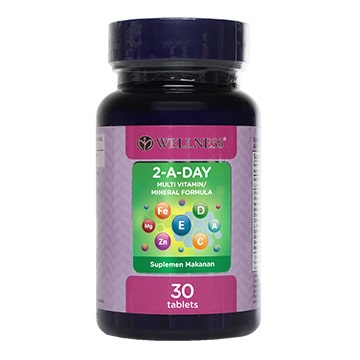 Wellness 2 A Day Multivitamin Formula 30 Tablet