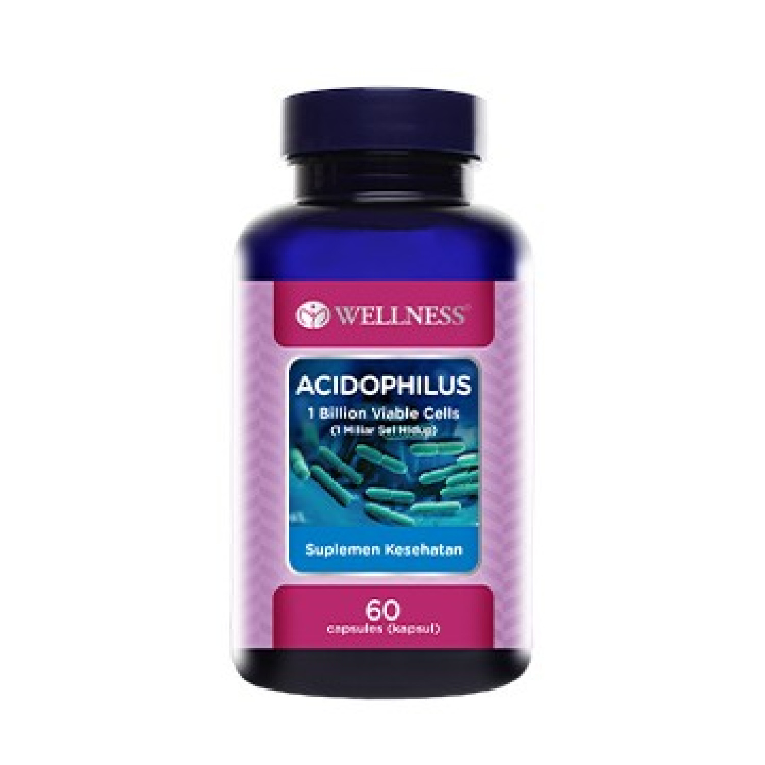Wellness Wellness Acidophilus